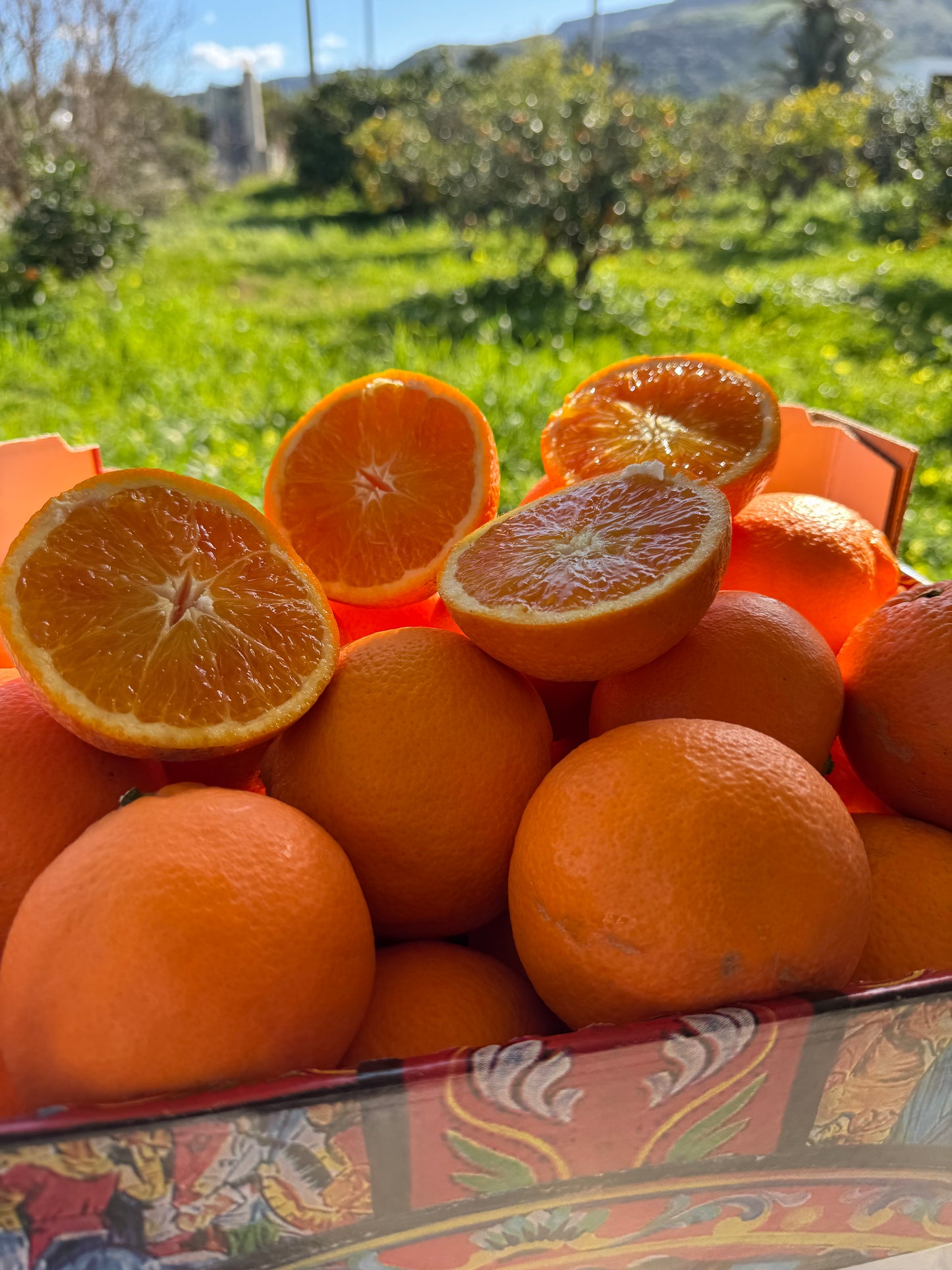 Box 7 Kg Arance Tarocco Extra - Confezione Regalo Siciliana