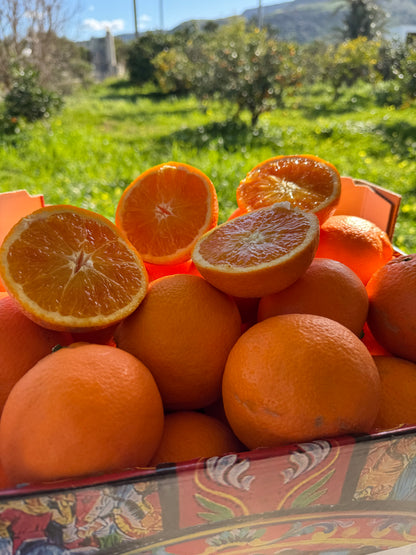 Box 7 Kg Arance Tarocco Extra - Confezione Regalo Siciliana