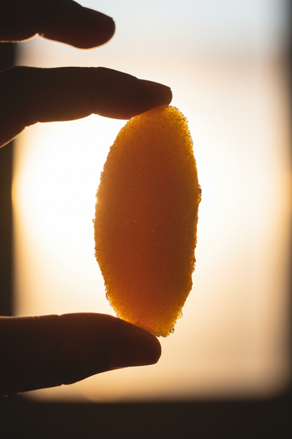 Mango a fette Disidratato - 90 gr